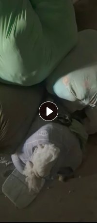 长期出售丝棉娃娃棉,统货出,现货有大十几吨,货在辽宁辽阳