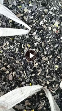 长期出售PP汽车内饰破碎料 ,水粉甩干除铁
