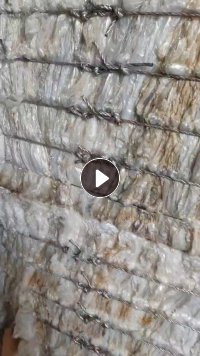 出售一级干造高压膜废料