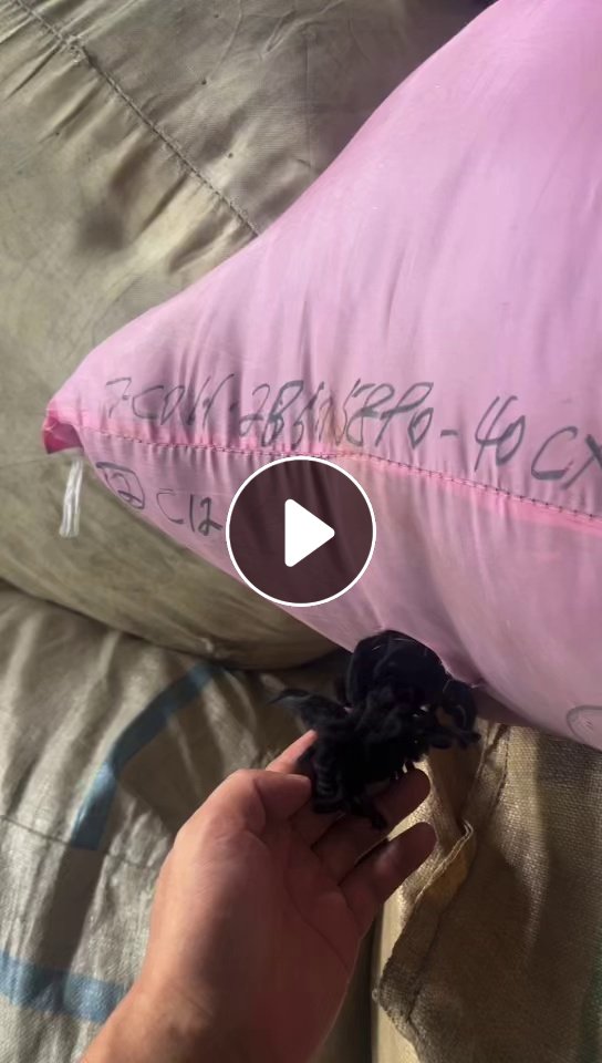 现货处理一批羊毛下脚料，含毛40-80之间，统货出，现货15吨，厂在广东梅州