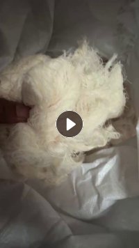 出售纯棉棉纱，纯棉废纱，现货只有几吨，还有的还没割下来，货在浙江湖州