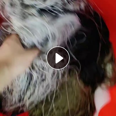 长期出售涤纶废丝，尼龙废丝，网络丝，松紧带，统货一起走，现货10吨左右