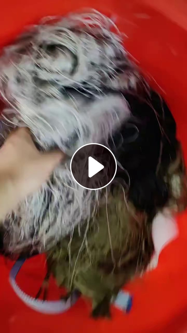 长期出售涤纶废丝，尼龙废丝，网络丝，松紧带，统货一起走，现货10吨左右