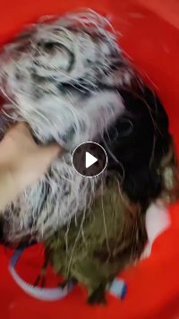 长期出售涤纶废丝,尼龙废丝,网络丝,松紧带,统货一起走,现货10吨左右
