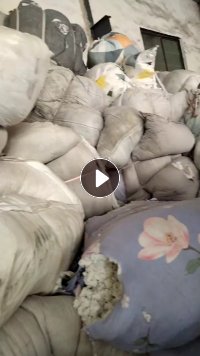 长期出售白色涤纶毛毛料，磨毛料，含水10%左右，货在山东临沂