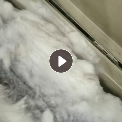 出售服装厂下来的纯羊毛下脚料，羊毛边角料，现货5吨左右