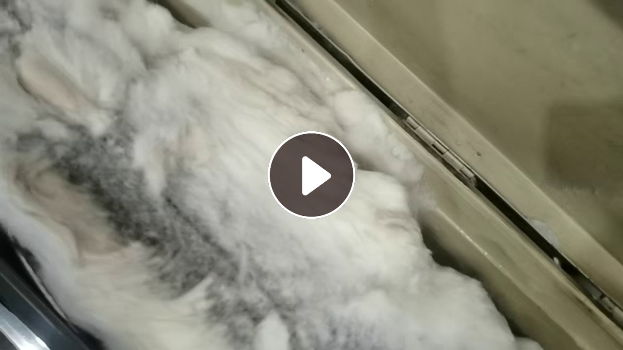 出售服装厂下来的纯羊毛下脚料，羊毛边角料，现货5吨左右