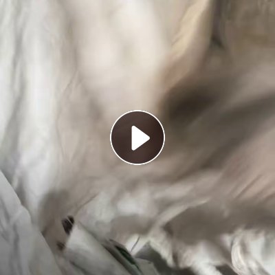 长期大量出售PVC塑钢磨粉料，每个月100多吨