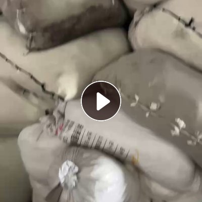 出售白色涤纶废丝，涤纶低弹丝，涤纶丝，可开花可造粒，现货有10吨左右，货在浙江金华