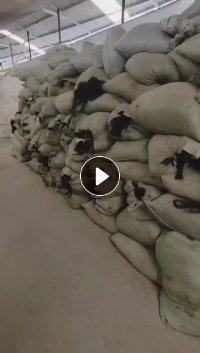 长期出售黑色涤纶废丝，涤纶干丝，现货有16吨，可开花可造粒，货在江西德安