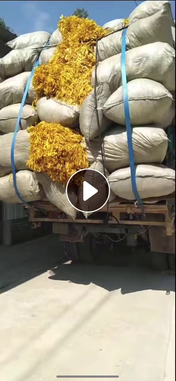 长期出售迷信纸边角料，编织袋装