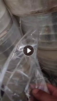 出售PET轻胶卷膜，PET滑膜刀口料