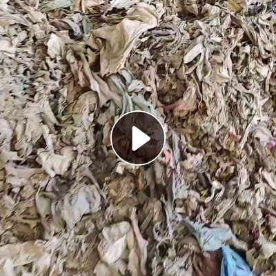 出售废塑料，地膜料，杂塑料，可以炼油用、燃烧，现货1000吨