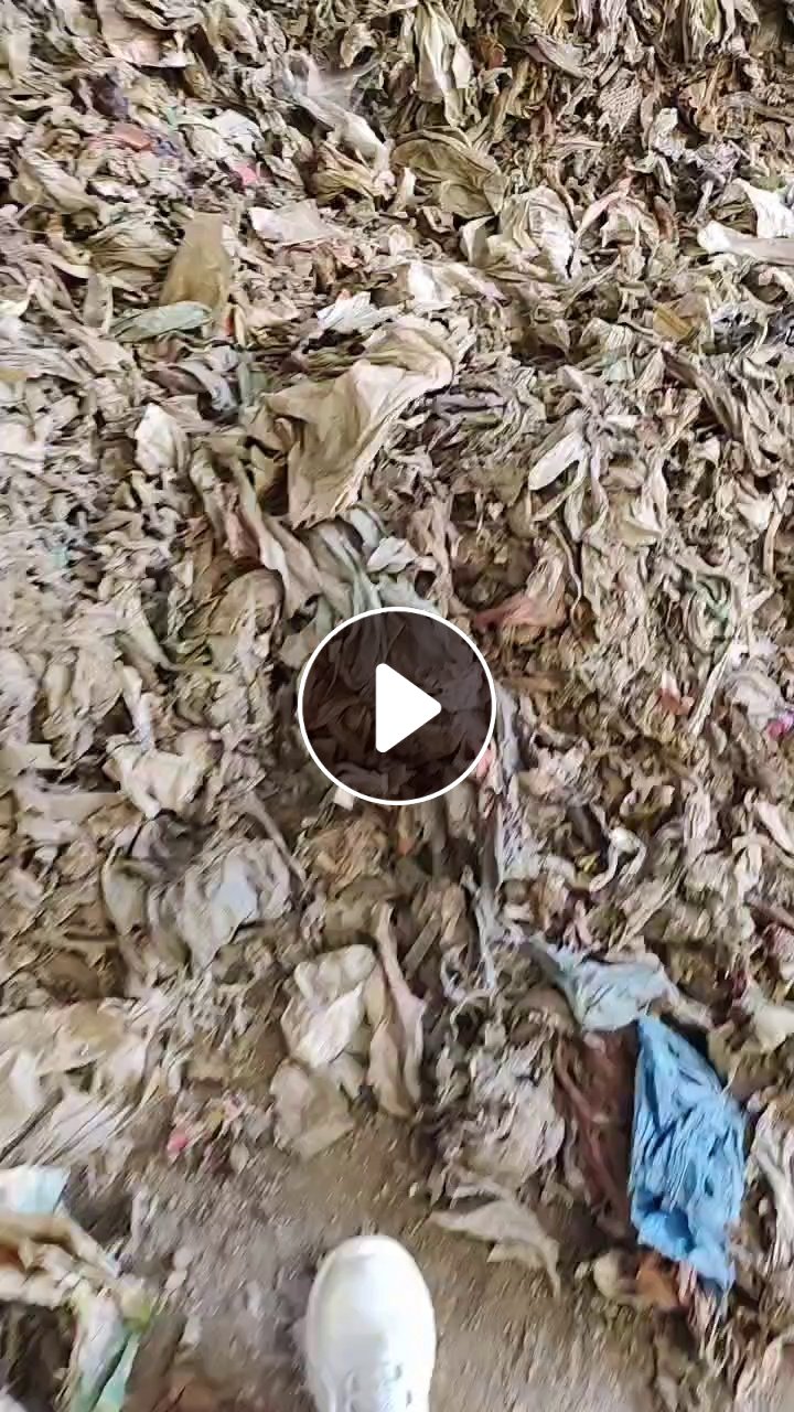 出售废塑料，地膜料，杂塑料，可以炼油用、燃烧，现货1000吨