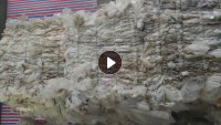 长期出售水洗高压膜,干做低压膜,干做丙膜
