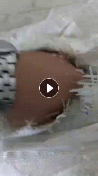 长期出售pet轻胶膜破碎料，白透，蓝透，杂色都有