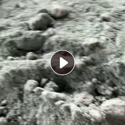 长期出售pet打包带pp打包带破碎出来的粉末，够车发走