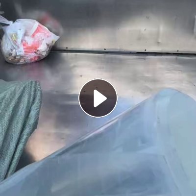 出售超高温PET膜，厚度20-40丝，月供30吨