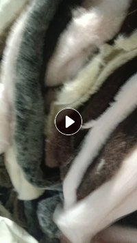 长期出售涤纶废布涤纶摇粒绒布,毛绒纺织厂下来的,现货10几吨,货在江苏扬州