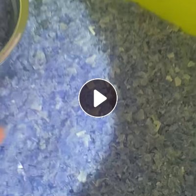 长期出售透明PP破碎料,水果筐粉碎可直接上机