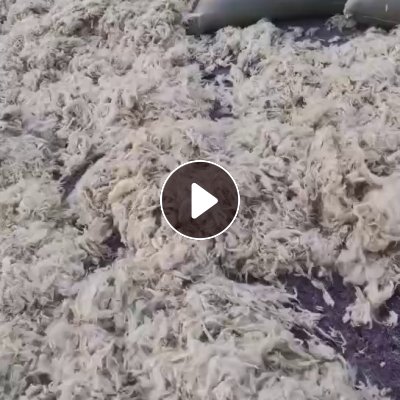 长期出售羊毛下脚料，羊毛料，现货20吨