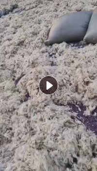 长期出售羊毛下脚料，羊毛料，现货20吨