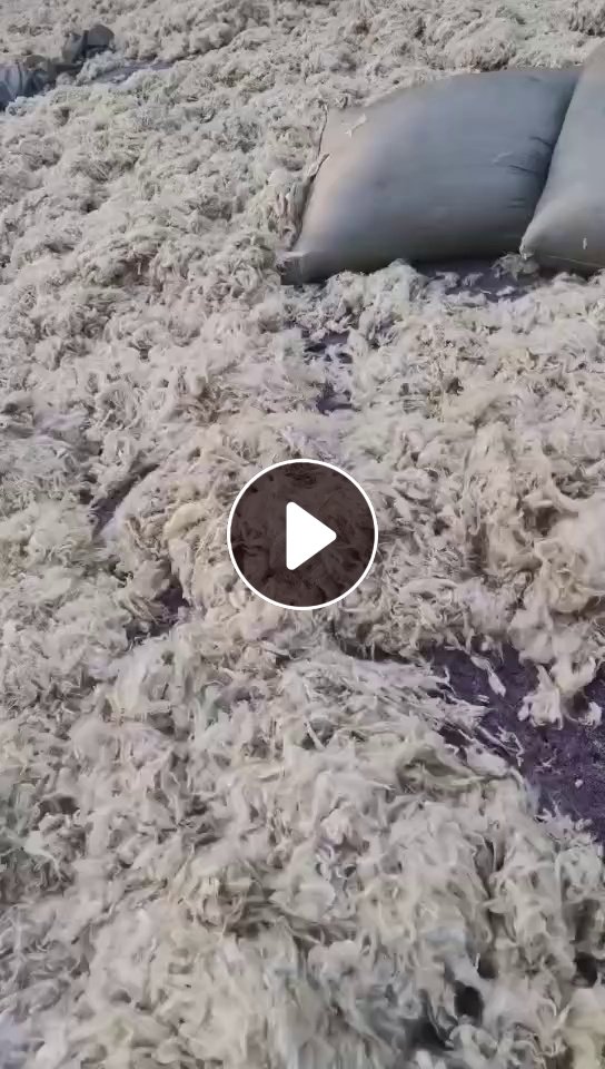 长期出售羊毛下脚料，羊毛料，现货20吨