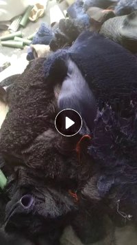 长期出售线管割下来的涤纶废丝，涤纶干丝，有黑色跟白色两种，白色几十吨