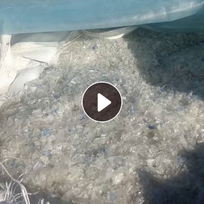 出售冷洗瓶片，白瓶片，现货25吨