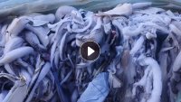 长期出售挡风被下来的边角料,现货13米2一车,货在山东临沂