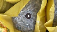 出售冷洗蓝白瓶片破碎料