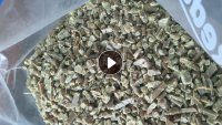 求购巴斯夫A3HG5PA66