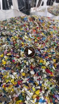 常年大量出售花乙破碎料，全漂的，月供200吨