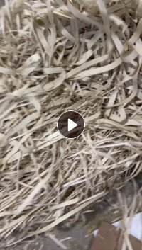 长期出售迷信纸边角料,一种竹浆纸,一种再生纸