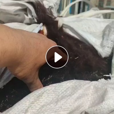 长期出售国产腈纶废丝，现货30吨，货在河北保定