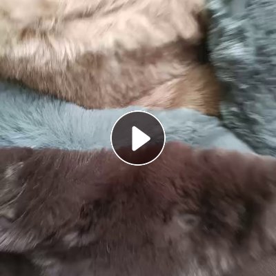 长期出售涤纶废布，造粒布，服装厂下来的，每个月有100多吨，货在福建泉州晋江