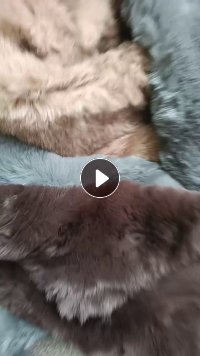 长期出售涤纶废布，造粒布，服装厂下来的，每个月有100多吨，货在福建泉州晋江