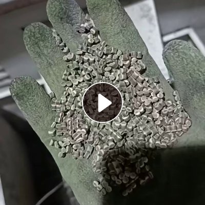 出售注塑聚丙颗粒