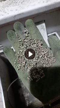 出售注塑聚丙颗粒