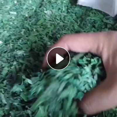 出售水粉PET打包带破碎料，工厂货，月供上百吨