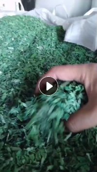 出售水粉PET打包带破碎料,工厂货,月供上百吨