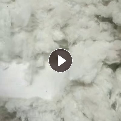 长期出售涤棉车肚，环锭纺下来的，含涤20左右，每月几十吨，货在山东泰安