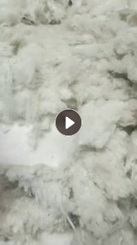 长期出售涤棉车肚,环锭纺下来的,含涤20左右,每月几十吨,货在山东泰安