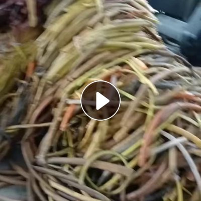 长期大量求购软质PVC蛇管毛料