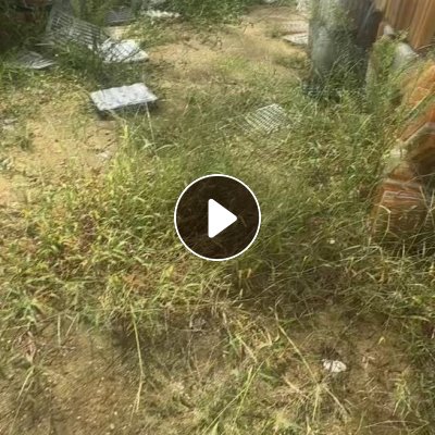 出售吸塑盒废料，pet/pvc/ps混在一起，透明黑色的都有，黑色带少量粉沫