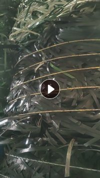 长期出售PET打包带毛料,聚酯打包带