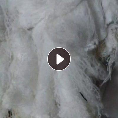 长期出售涤纶废丝，涤纶丝，白色涤纶废丝，可以开花和造粒，货在江苏常州