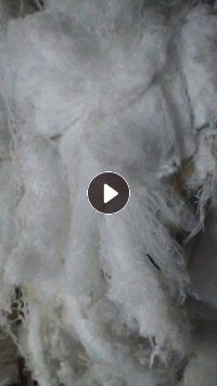 长期出售涤纶废丝,涤纶丝,白色涤纶废丝,可以开花和造粒,货在江苏常州