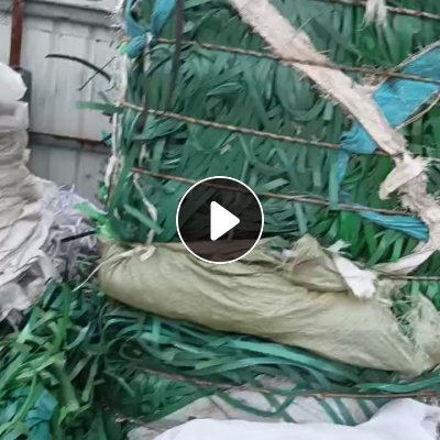 长期出售PET打包带毛料