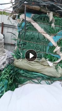 长期出售PET打包带毛料